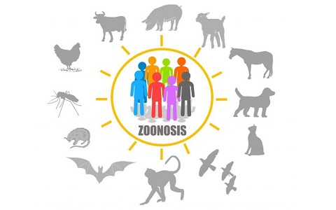 La viruela del mono, el auge de las zoonosis en humanos y la importancia de la sanidad ambiental